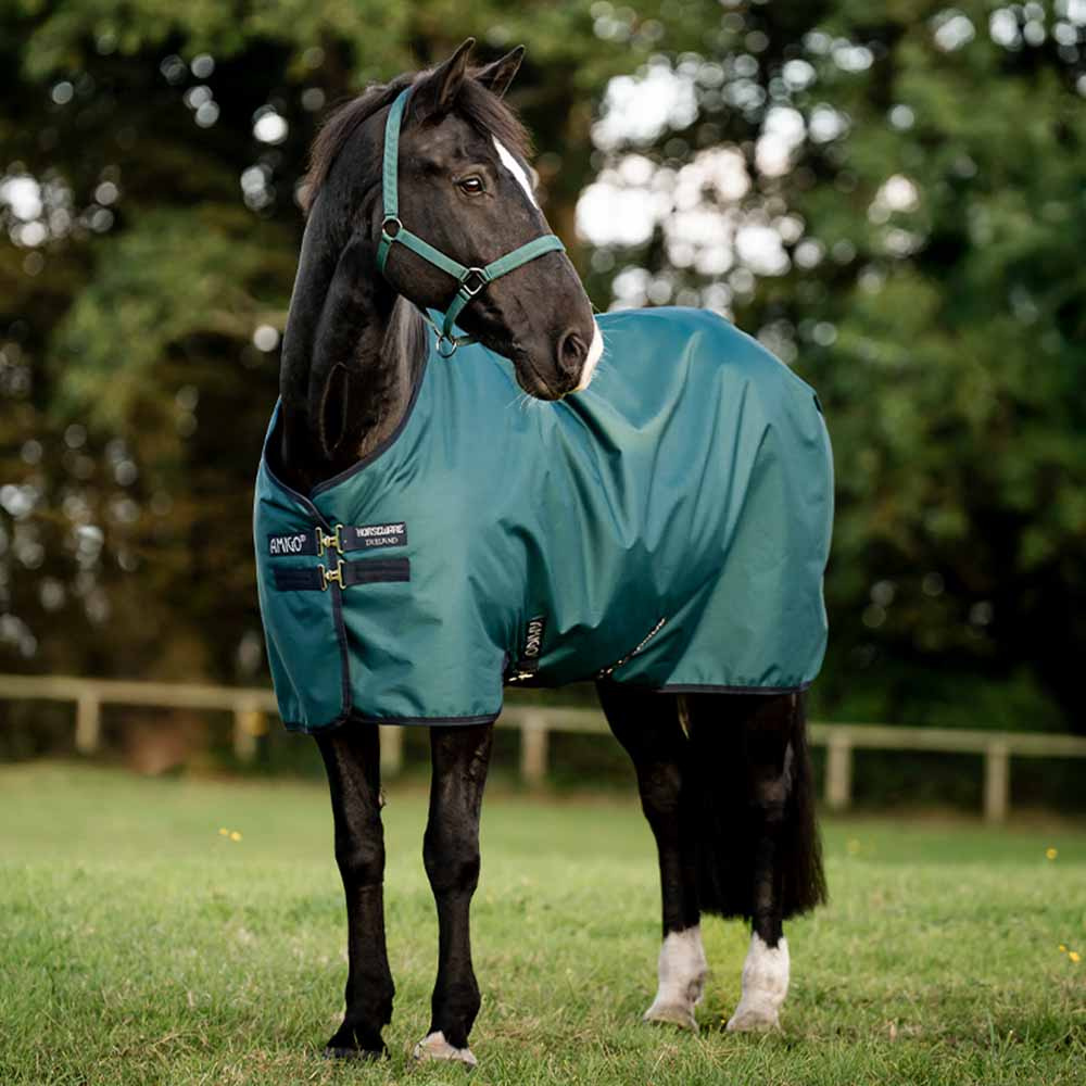 Regendeke Amigo Ripstop 900D 0g Groen/Marineblauw/Zilver