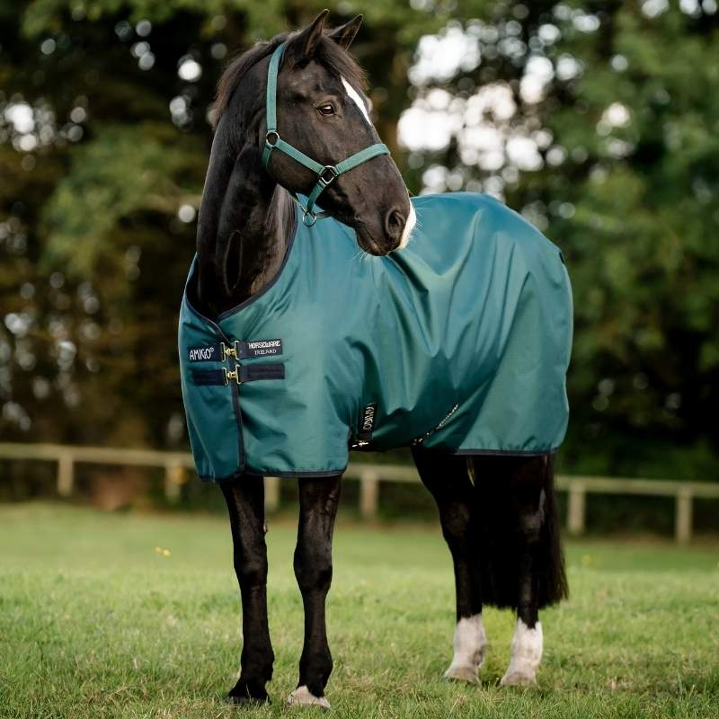 Winterdeken Amigo Ripstop 900D 200g Groen/Marineblauw/Zilver