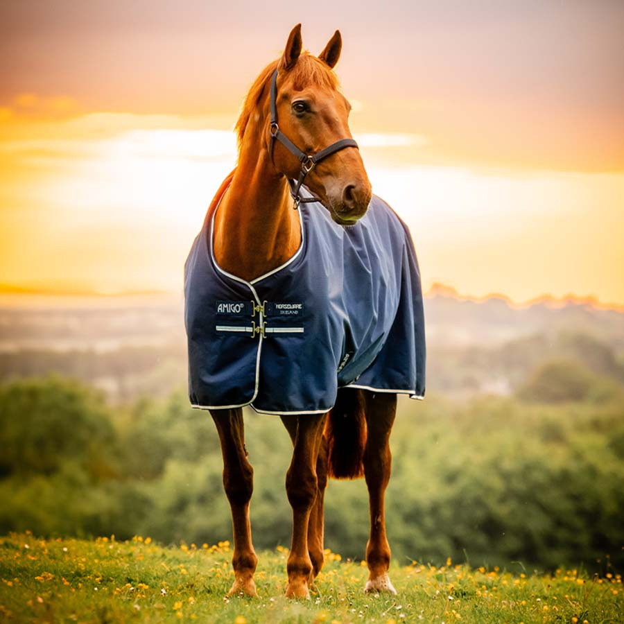 Regendeke Amigo Ripstop 900D Fleece Lined 50g Witney Navy