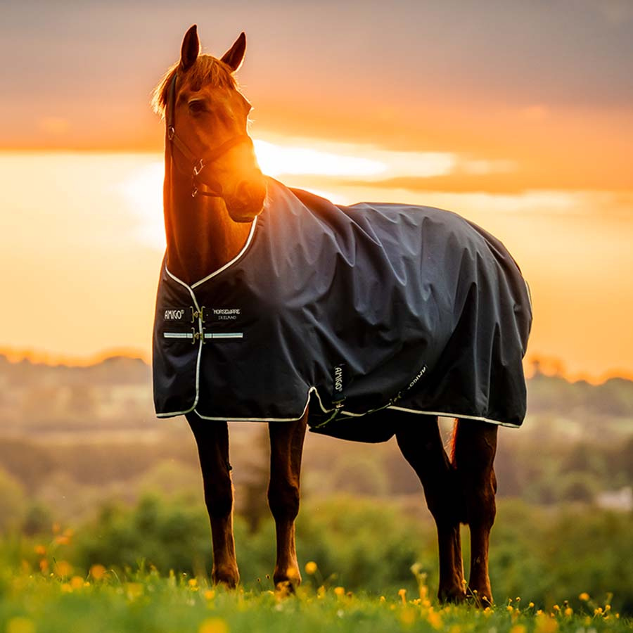 Regendeke Amigo Ripstop 900D Fleece Lined 50g Witney Navy