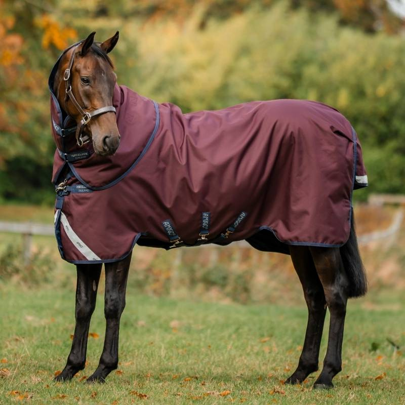 Regendeken Amigo Plus 1200D 0g Burgundy/Marineblauw/Grijs