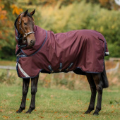 Regendeken Amigo Plus 1200D 0g Burgundy/Marineblauw/Grijs Regendeken Amigo Plus 1200D 0g Burgundy/Marineblauw/Grijs
