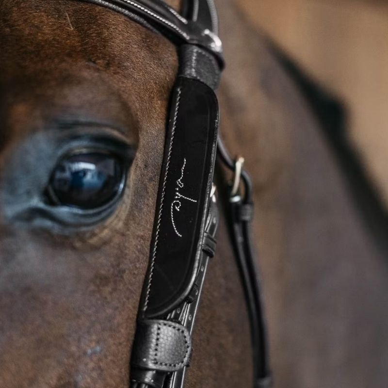 Blinkers Fancy Stitching Zwart