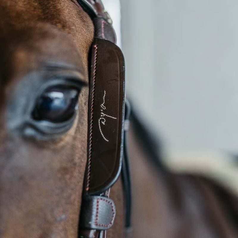 Blinkers Fancy Stitching Bruin