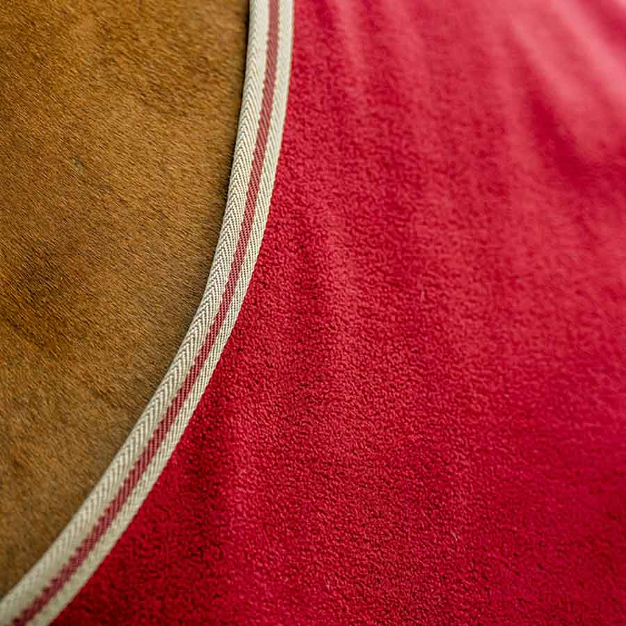 Fleecedeke Amigo Cooler Rood/Beige