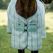 Vliegendeke Newmarket Witney Dynasty Vliegendeke Newmarket Witney Dynasty