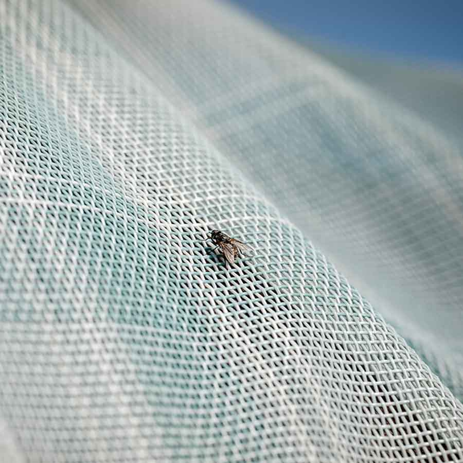 Vliegendeke Newmarket Witney Dynasty