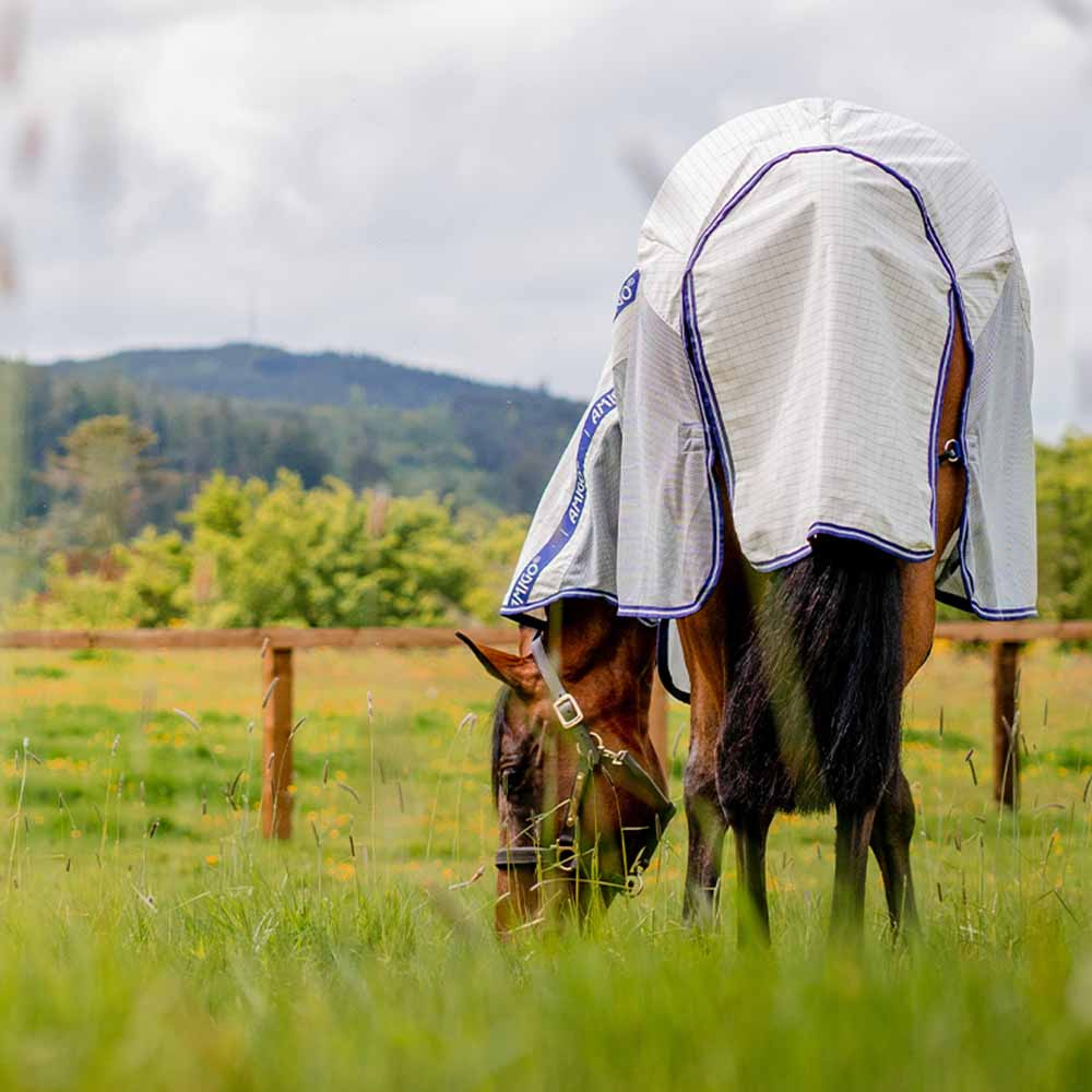 Vliegen- en zomerdeken Amigo Airflow Plus Wit/Grijs/Blauw