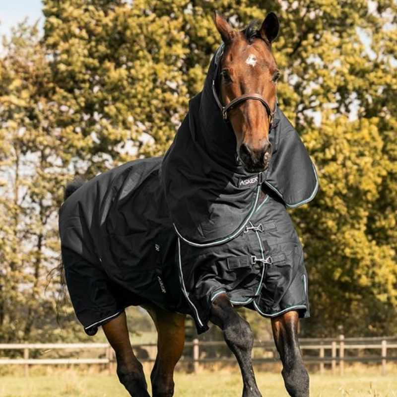 Winterdeken met hals Turnout Plus 300g 1200D Zwart