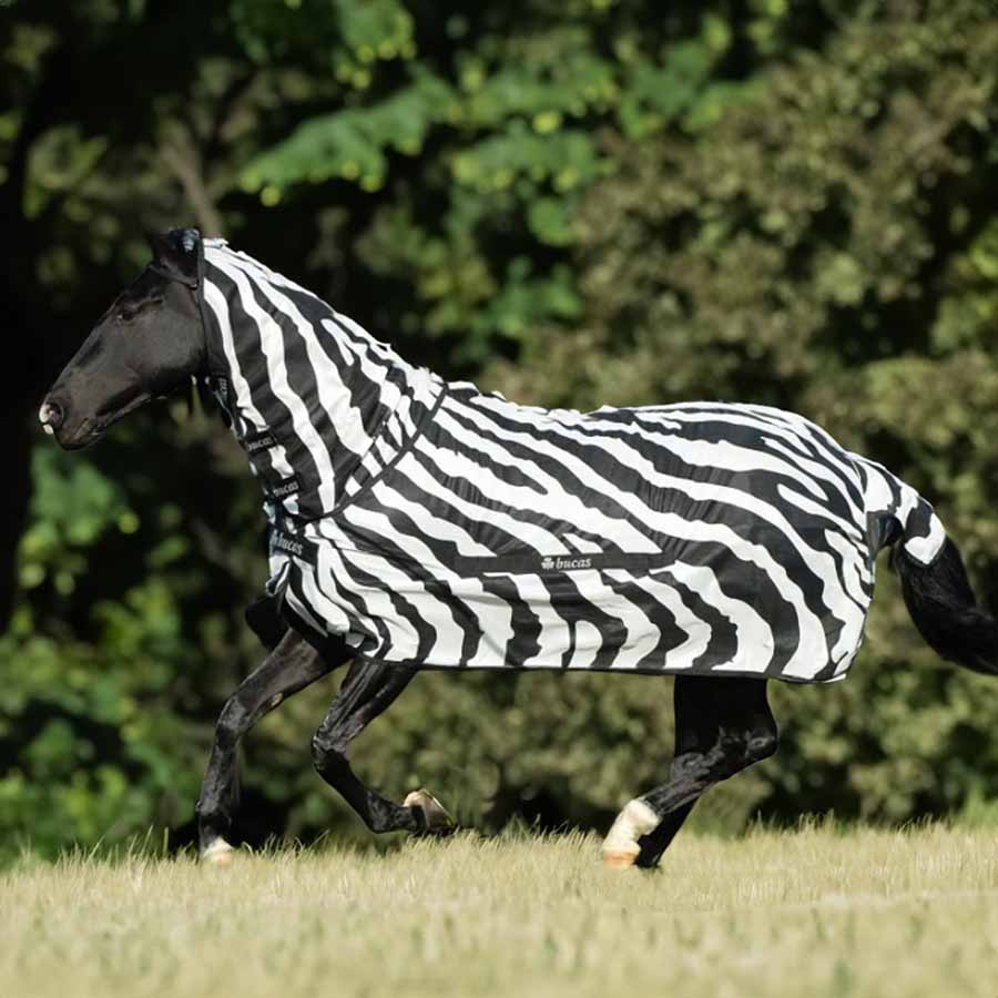 Vliegendeken Buzz Off Zebra