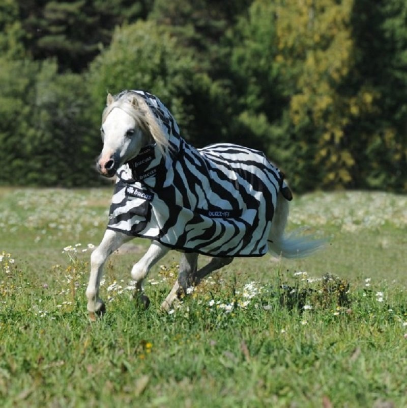 Vliegendeken Buzz Off Zebra