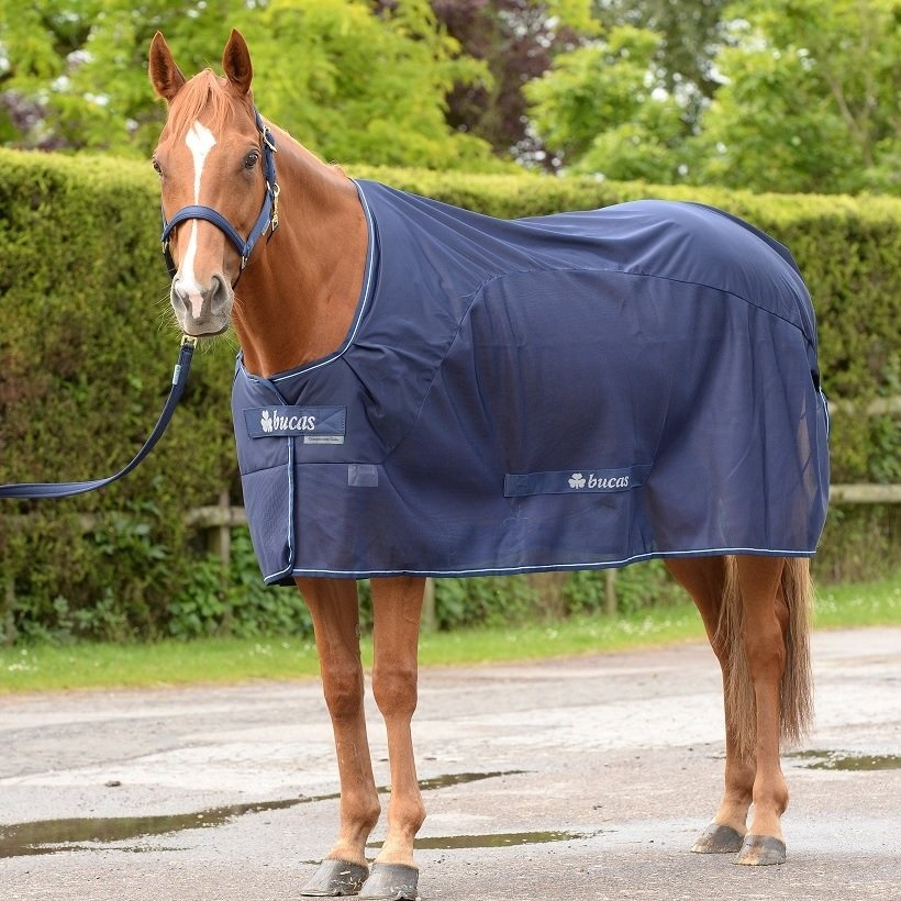 Wedstrijd Cooler Marineblauw