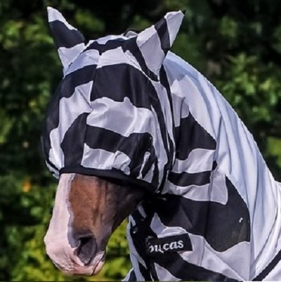Vliegmasker Buzz Off Zebra