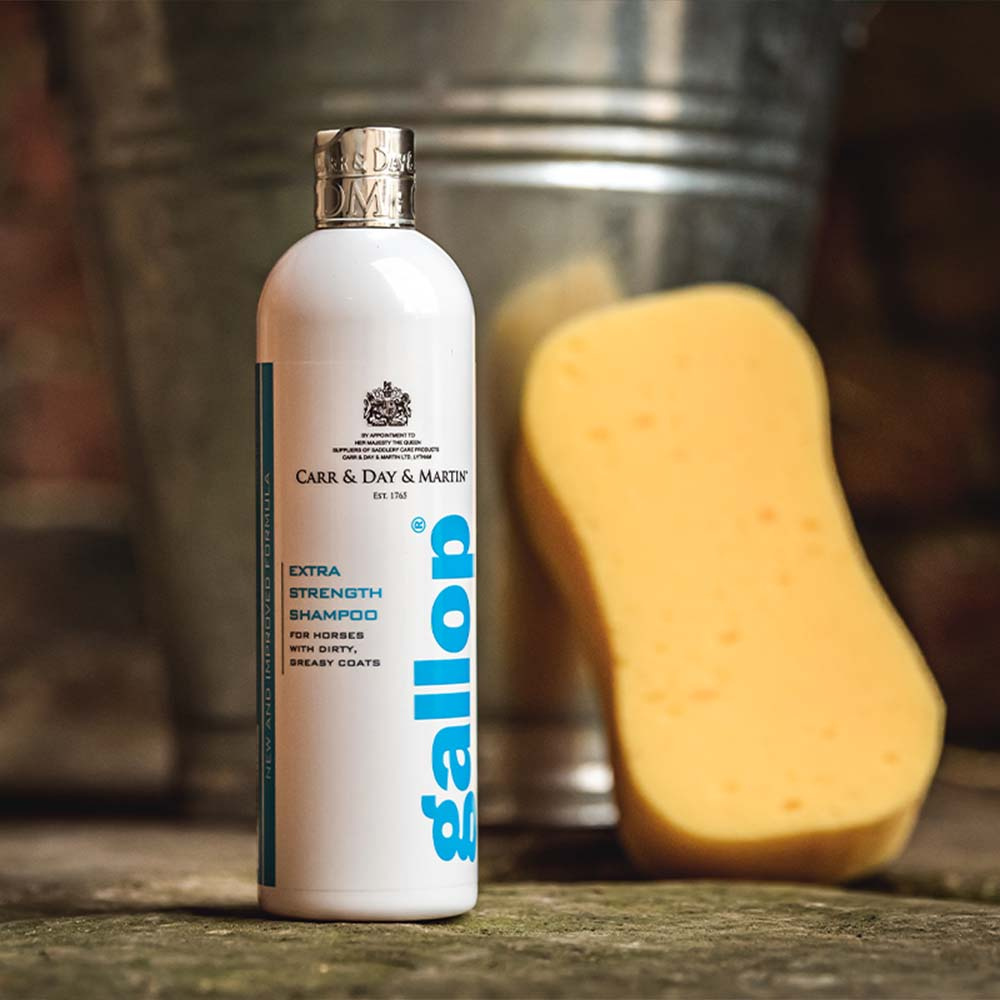 Diepreinigende Shampoo Gallop Extra Strength 500 ml