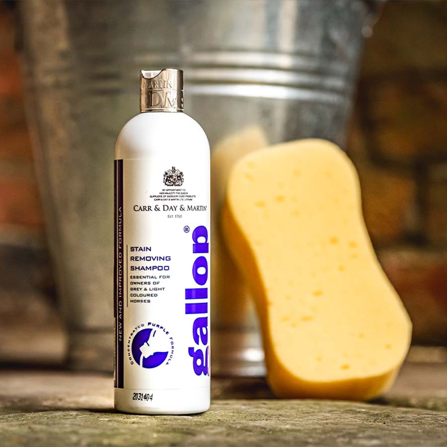 Shampoo Gallop Vlekverwijdering 500 ml