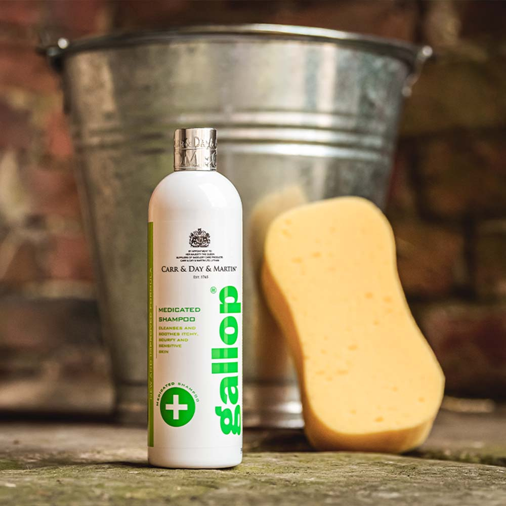 Shampoo Gallop Medicated 500ml