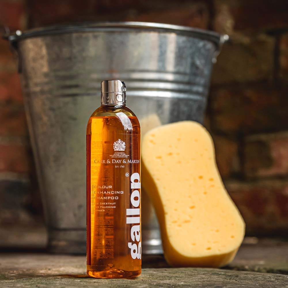 Shampoo Gallop Kleur Vos & Palomino 500 ml