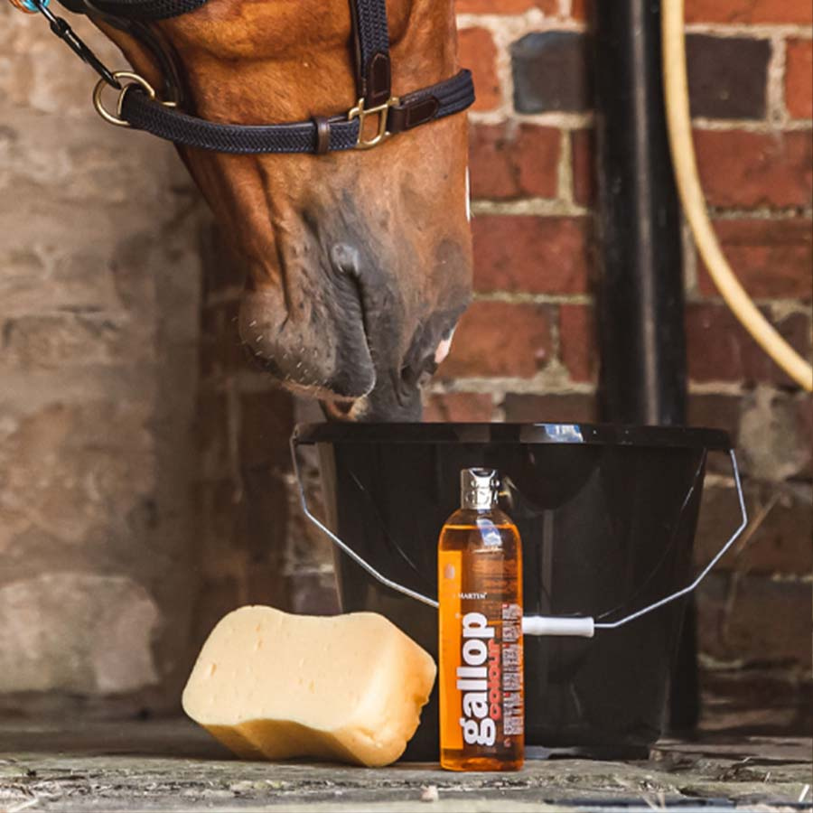 Shampoo Gallop Kleur Vos & Palomino 500 ml