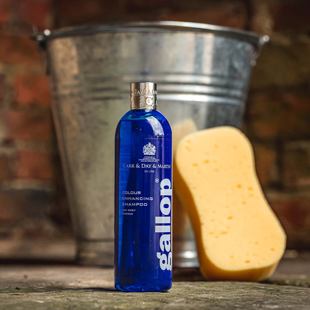 Shampoo Gallop Kleur Schimmel 500 ml