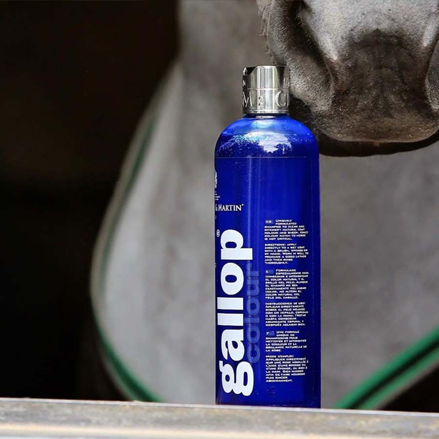 Shampoo Gallop Kleur Schimmel 500 ml
