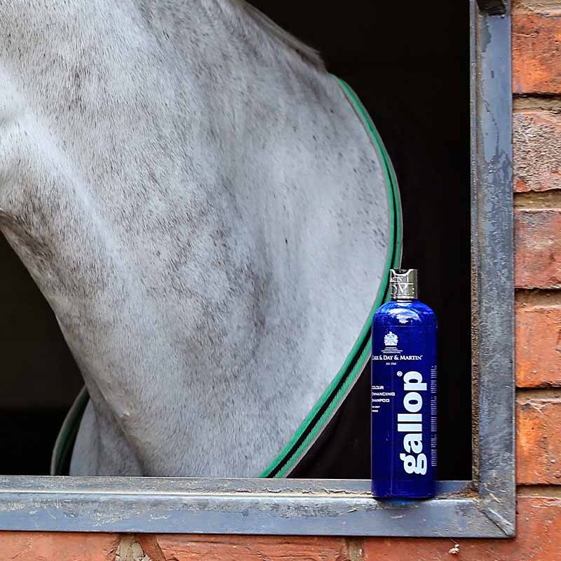 Shampoo Gallop Kleur Schimmel 500 ml