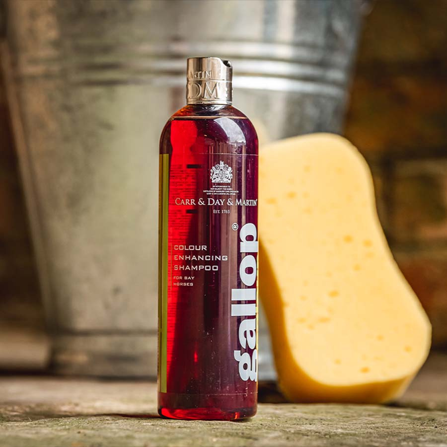 Shampoo Gallop Kleur Bruin 500 ml