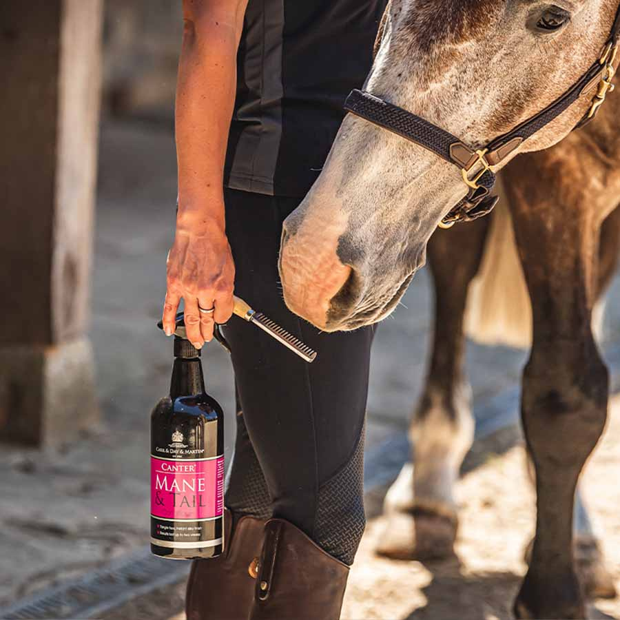 Balsamspray Canter Manen & Staart