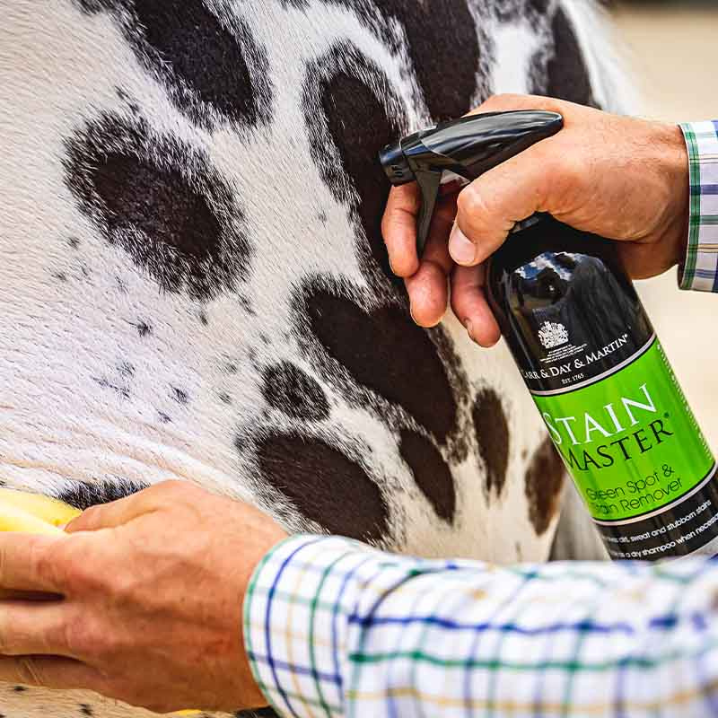 Droogshampoo Stain Master 500 ml