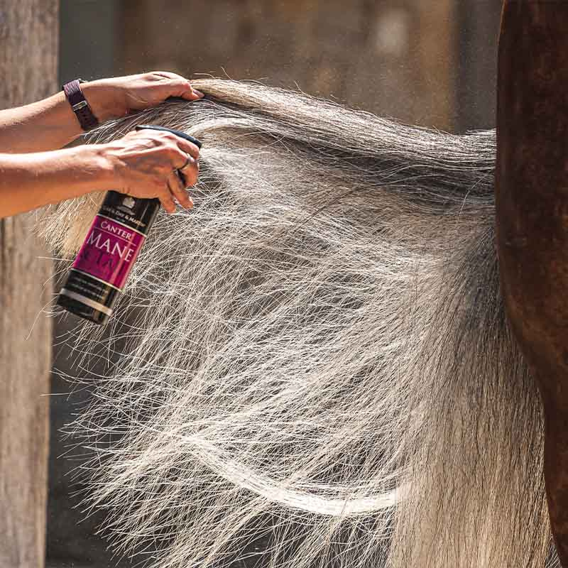 Vachtverzorging The Ultimate Grooming Duo