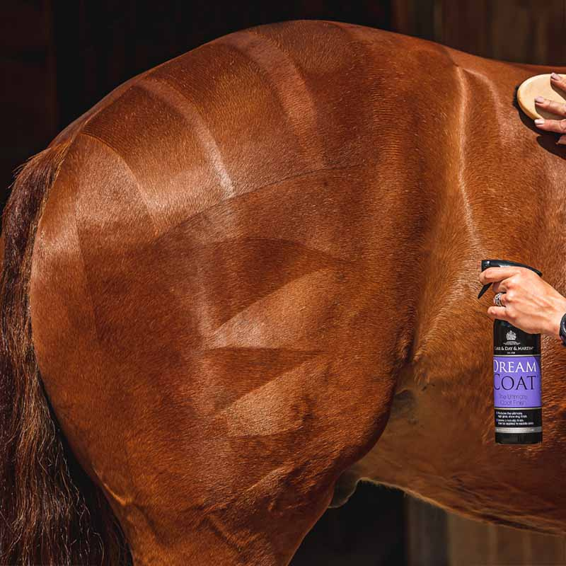 Vachtverzorging The Ultimate Grooming Duo