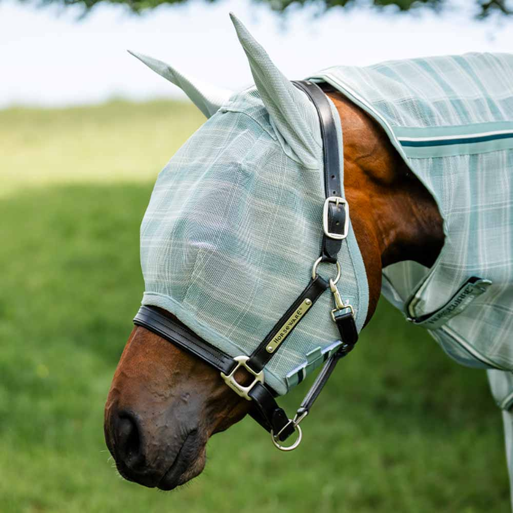 Vliegen oornetje Newmarket Witney Dynasty