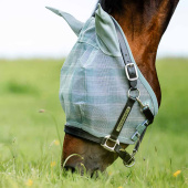 Vliegen oornetje Newmarket Witney Dynasty Vliegen oornetje Newmarket Witney Dynasty