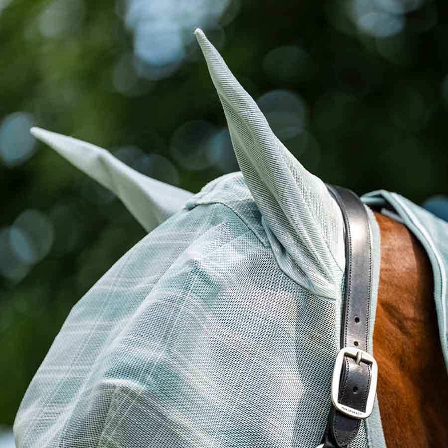 Vliegen oornetje Newmarket Witney Dynasty