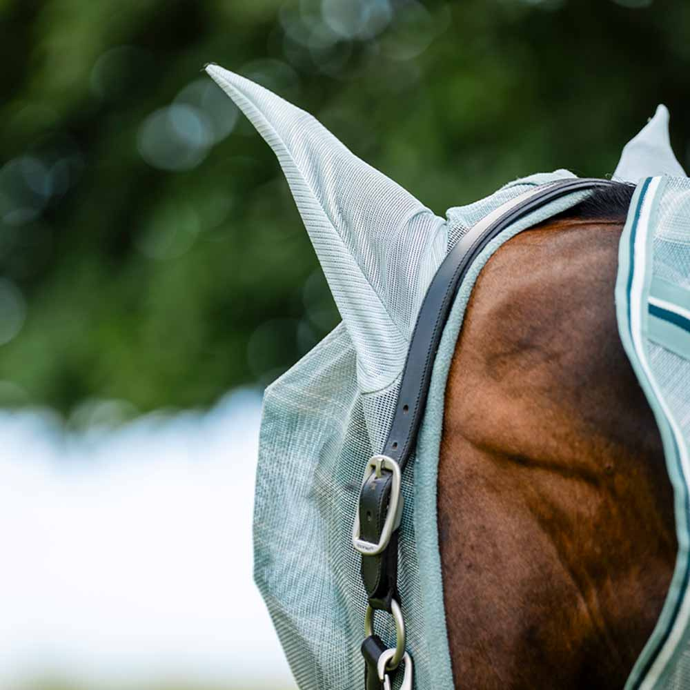 Vliegen oornetje Newmarket Witney Dynasty