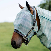 Vliegen oornetje Newmarket No Ears Witney Dynasty Vliegen oornetje Newmarket No Ears Witney Dynasty