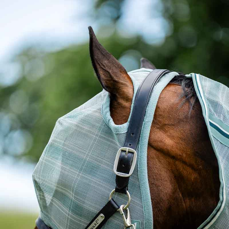 Vliegen oornetje Newmarket No Ears Witney Dynasty