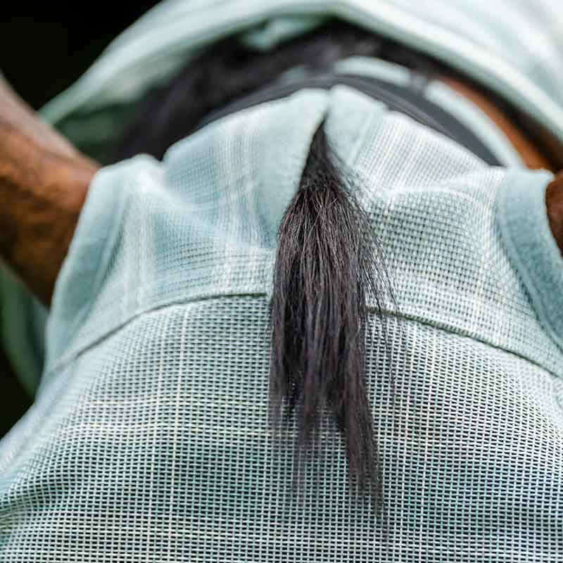 Vliegen oornetje Newmarket No Ears Witney Dynasty