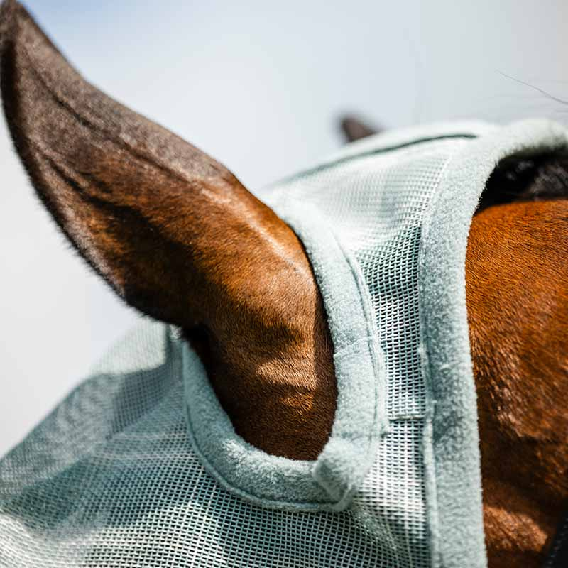 Vliegen oornetje Newmarket No Ears Witney Dynasty