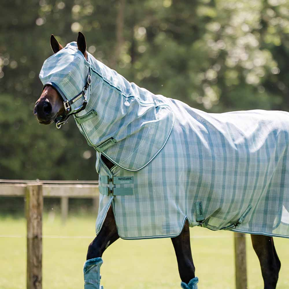 Vliegen oornetje Newmarket No Ears Witney Dynasty