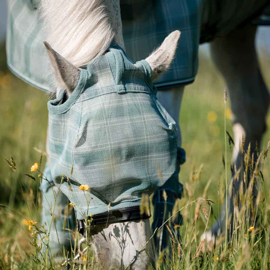 Vliegen oornetje Newmarket No Ears Witney Dynasty