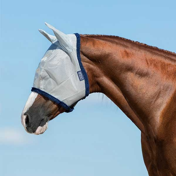 Vliegenmasker Amigo Marineblauw