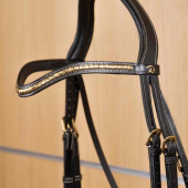 Frontriem V-vorm Brass Clincher Dyon Collection Zwart Frontriem V-vorm Brass Clincher Dyon Collection Zwart