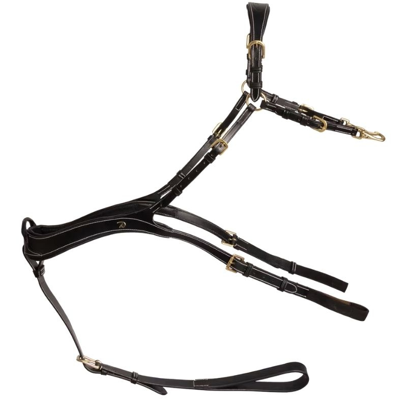 Borsttuig Anatomical Dyon Collection Zwart