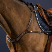 Borsttuig Anatomical Dyon Collection Bruin Borsttuig Anatomical Dyon Collection Bruin