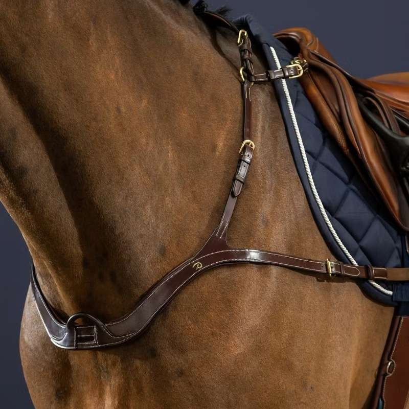 Borsttuig Anatomical Dyon Collection Bruin