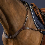 Borsttuig Anatomical Dyon Collection Bruin Borsttuig Anatomical Dyon Collection Bruin