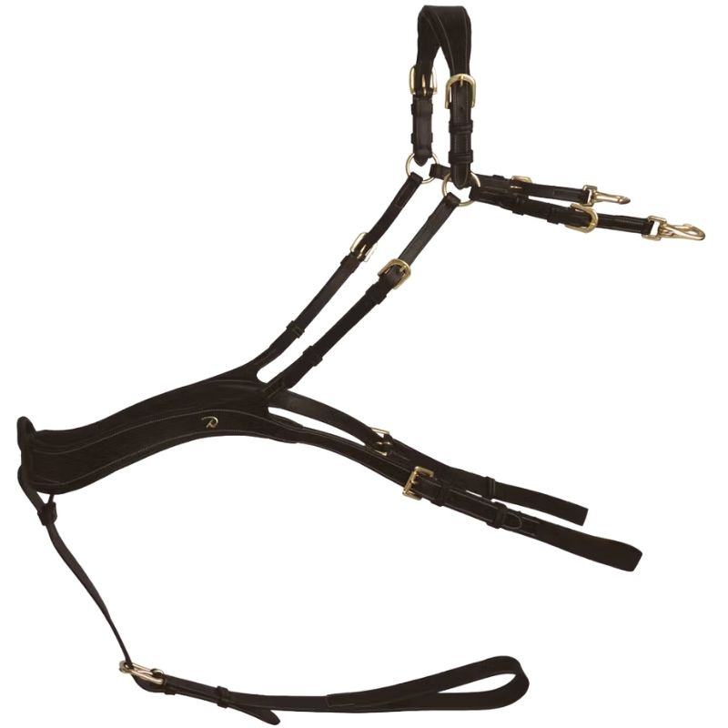Borsttuig Anatomical Dyon Collection Bruin