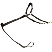 Borsttuig met Brug Dyon Collection Zwart Borsttuig met Brug Dyon Collection Zwart