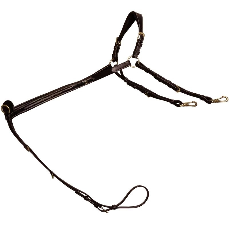 Borsttuig met Brug Dyon Collection Bruin
