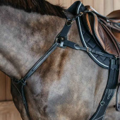 5-Punts Borsttuig Elastic Dyon Collection Zwart 5-Punts Borsttuig Elastic Dyon Collection Zwart